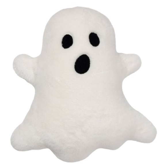 Brentwood Other - White Ghost Accent Pillow Costco